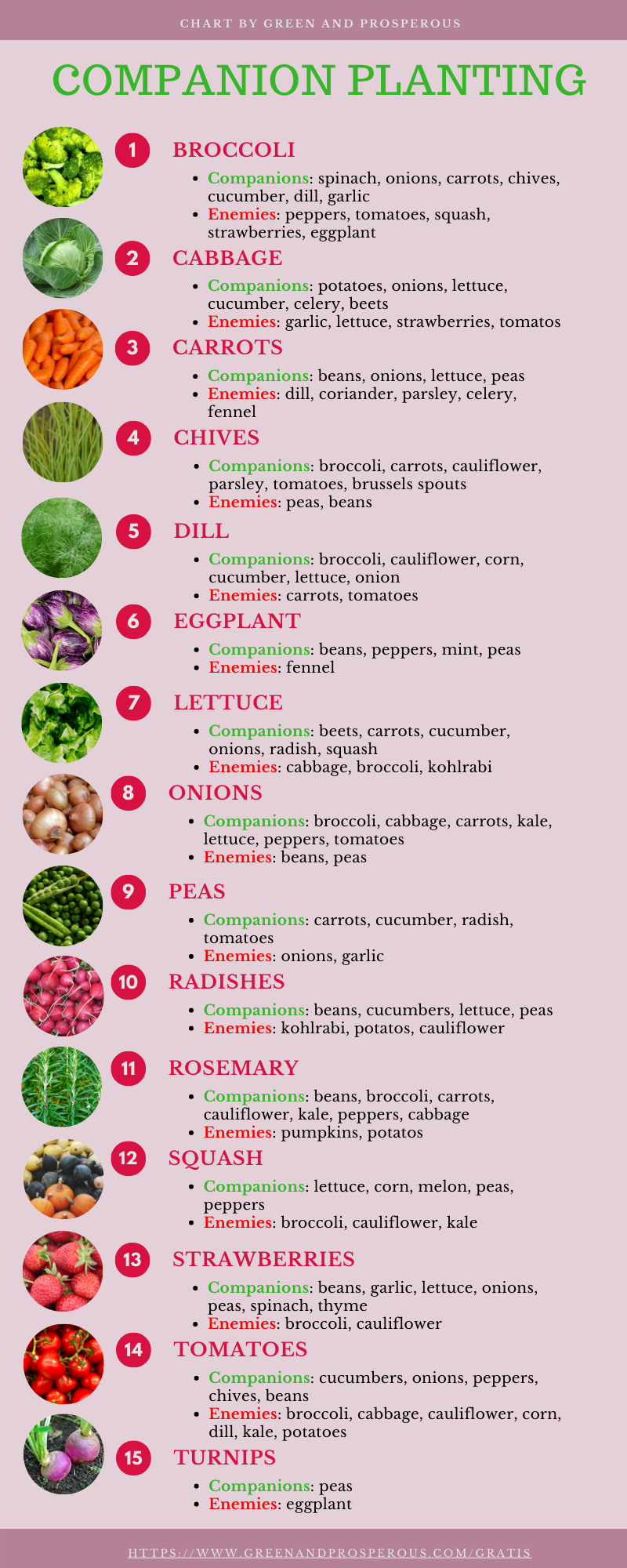companion planting cheat sheet