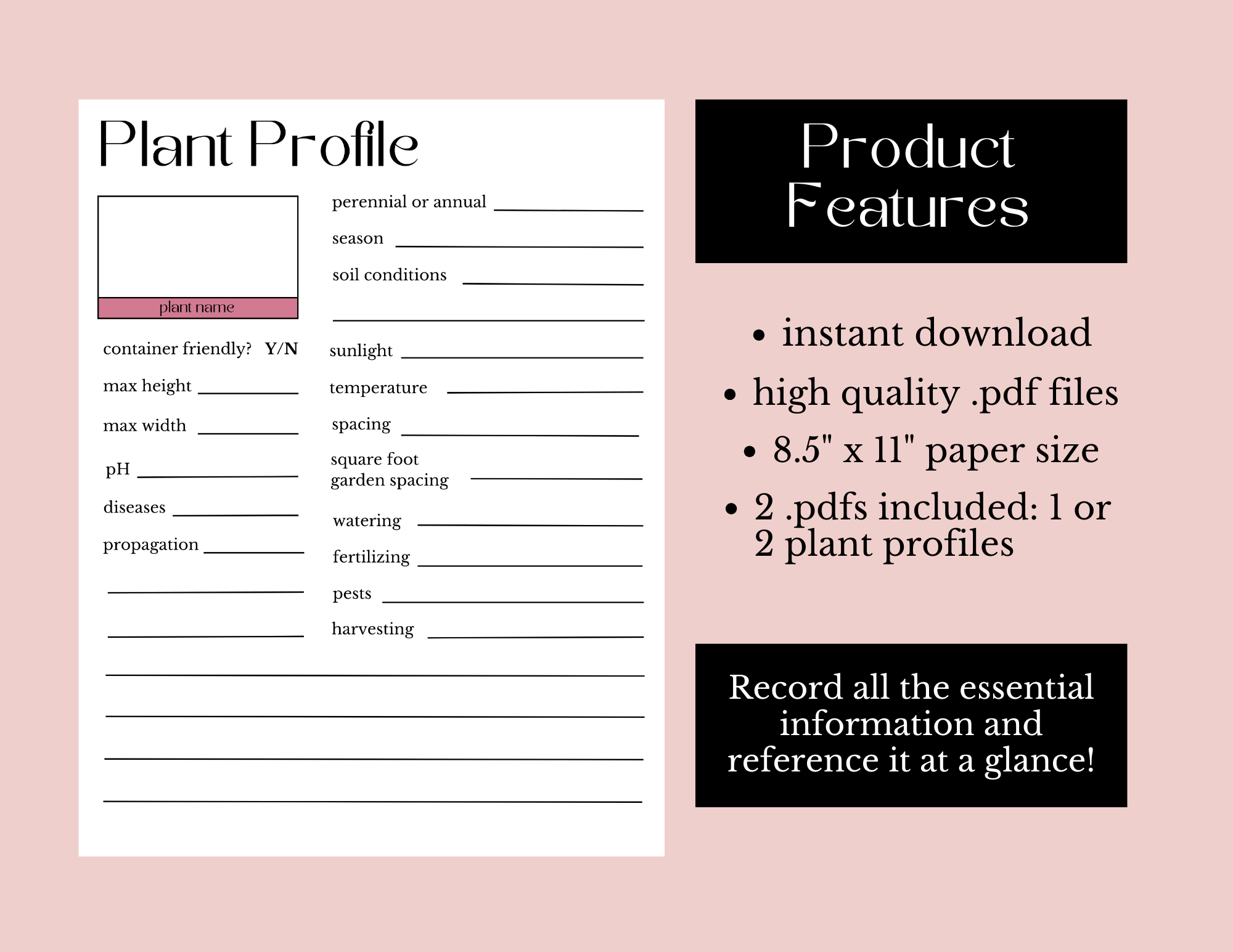 Plant profile sheet_GnP store2.png