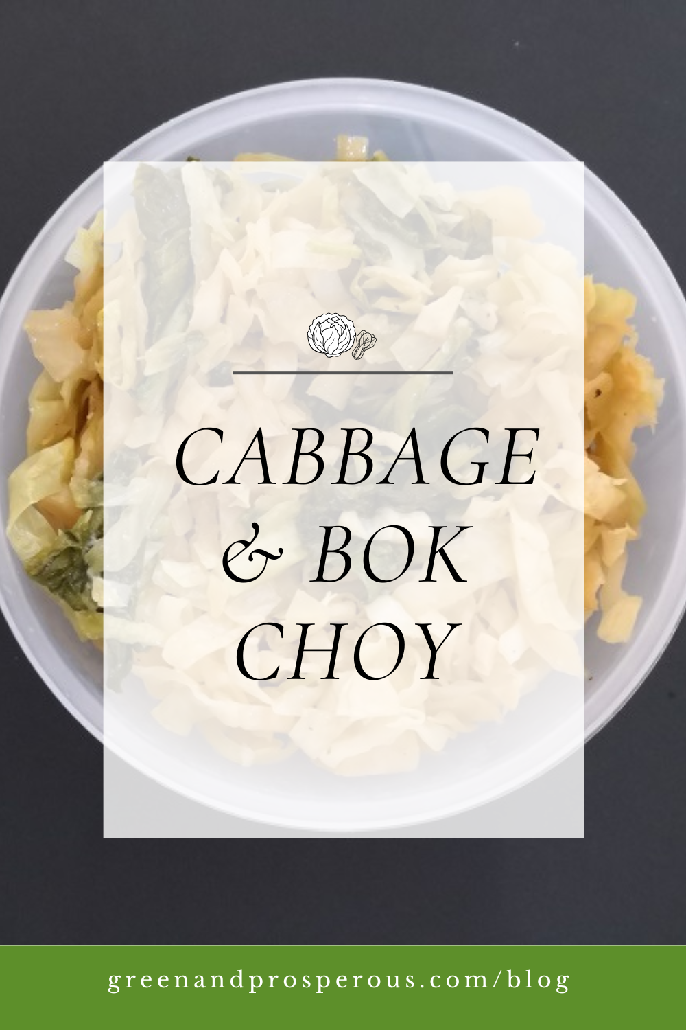 Stir-fried cabbage and bok choy dish illustrating a simple healthy vegetable recipe