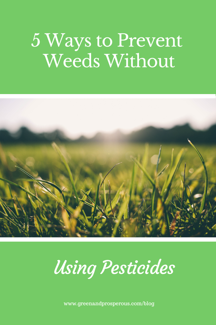 5 Ways to Prevent Weeds Without Using Pesticides