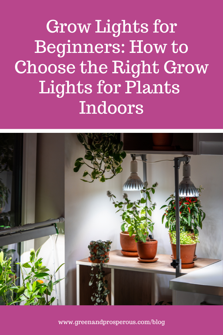 Grow lights for plants made simple. Learn how indoor grow lights work, which types beginners should choose, and how to use them for strong, healthy growth.