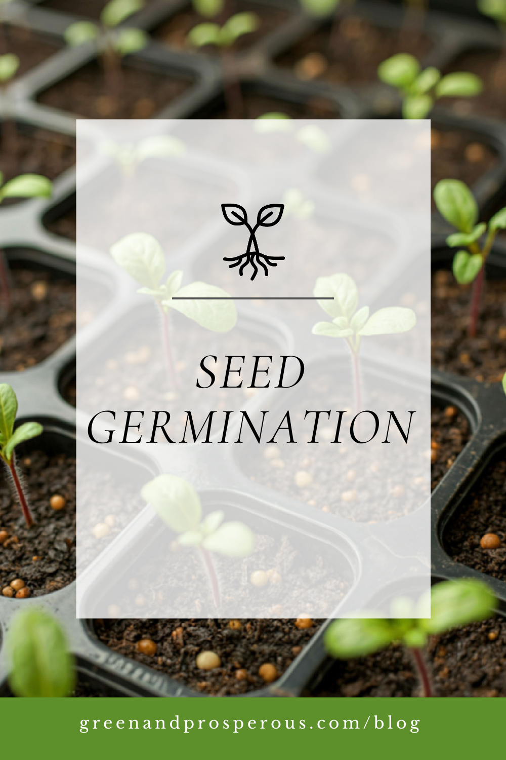 Vegetable seedlings in trays related to seed germination techniques