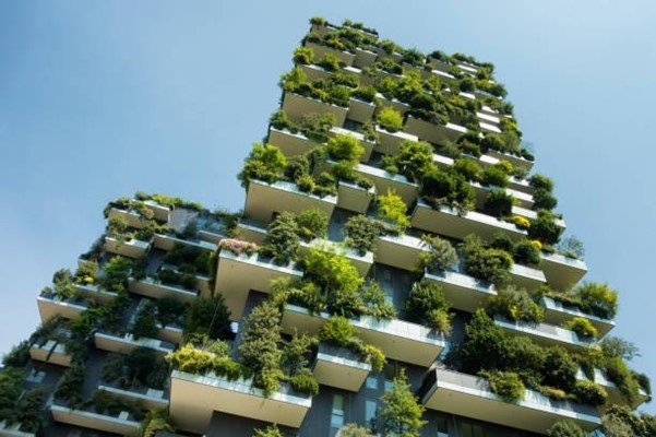 有植物的可持续绿色建筑