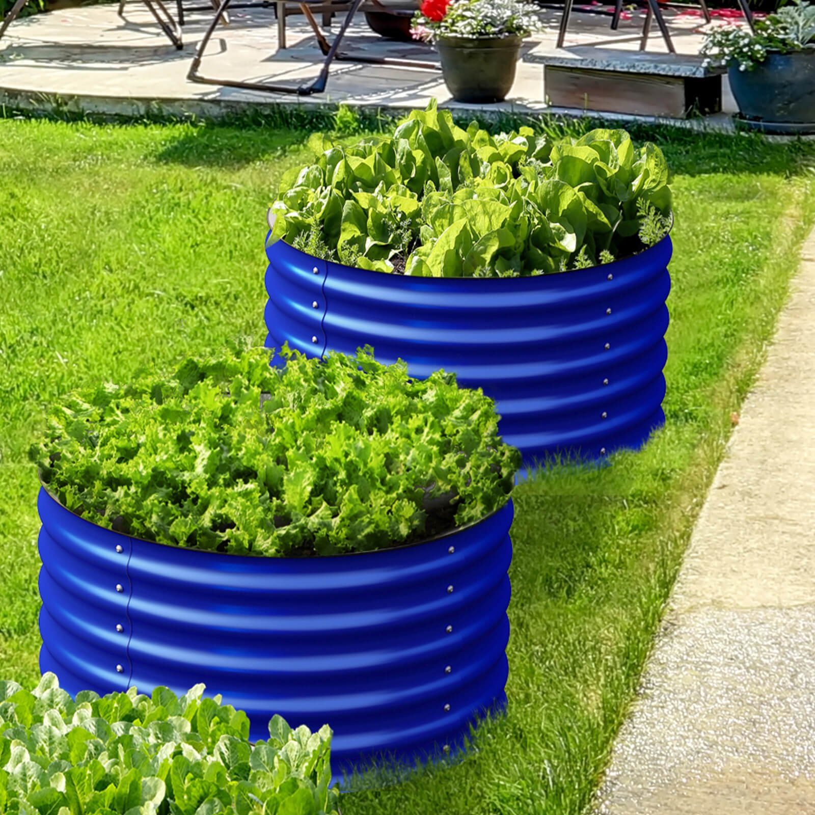 A food garden in winter: 6 things you can do now to harvest in the cold 
