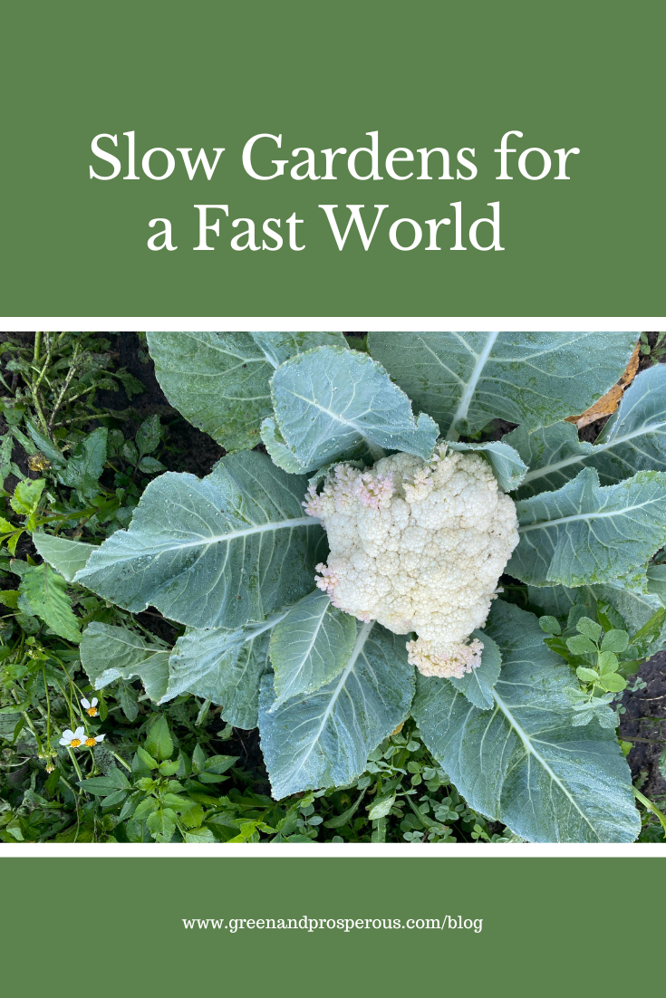 Slow gardening invites a more mindful approach to garden design and growing food, working with natural rhythms to support presence, balance, and long-term sustainability.