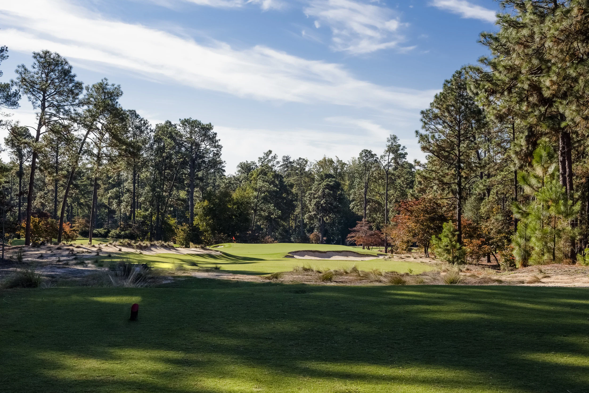 New 8 Tee_1254-Edit.jpg