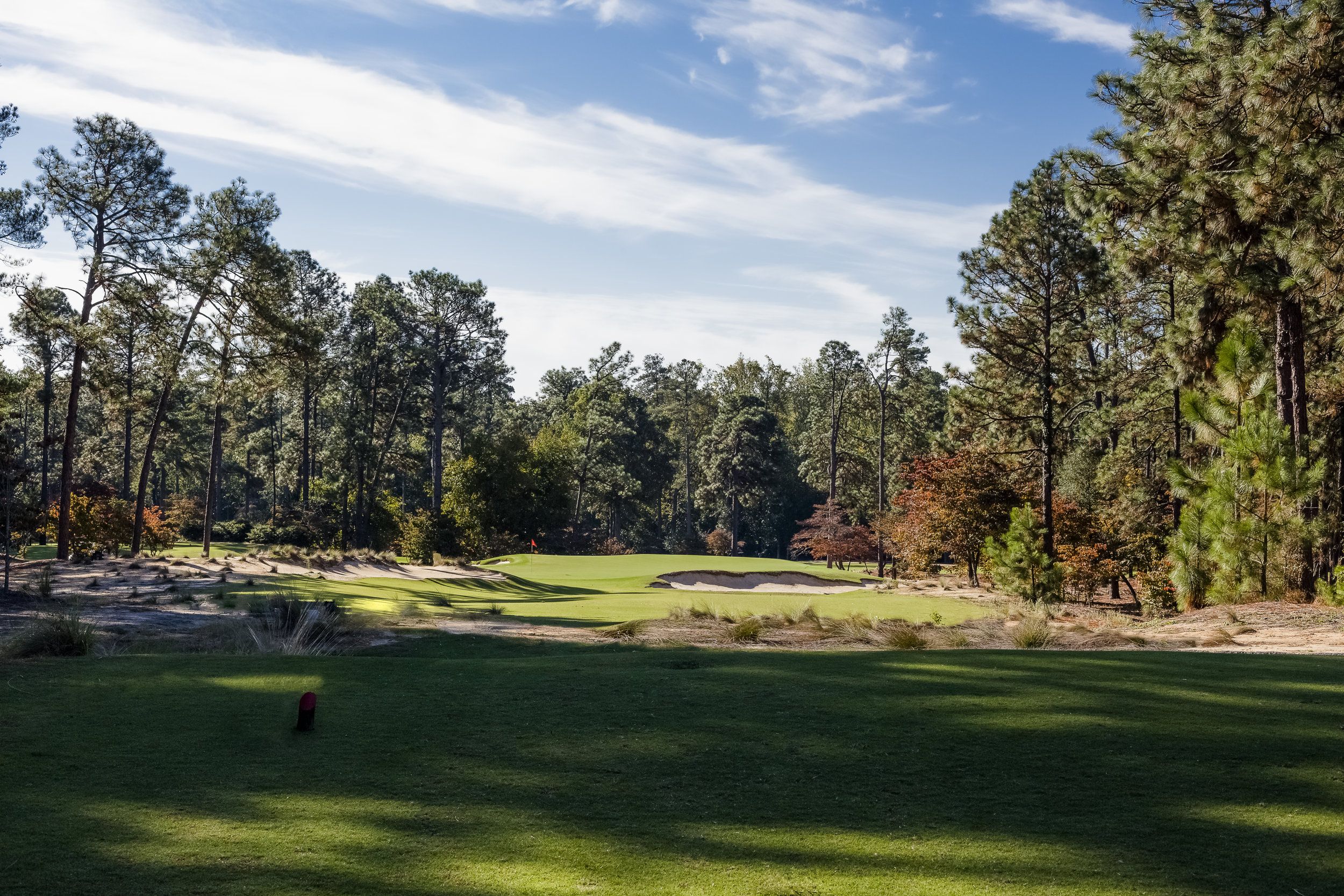 New 8 Tee_1254-Edit.jpg