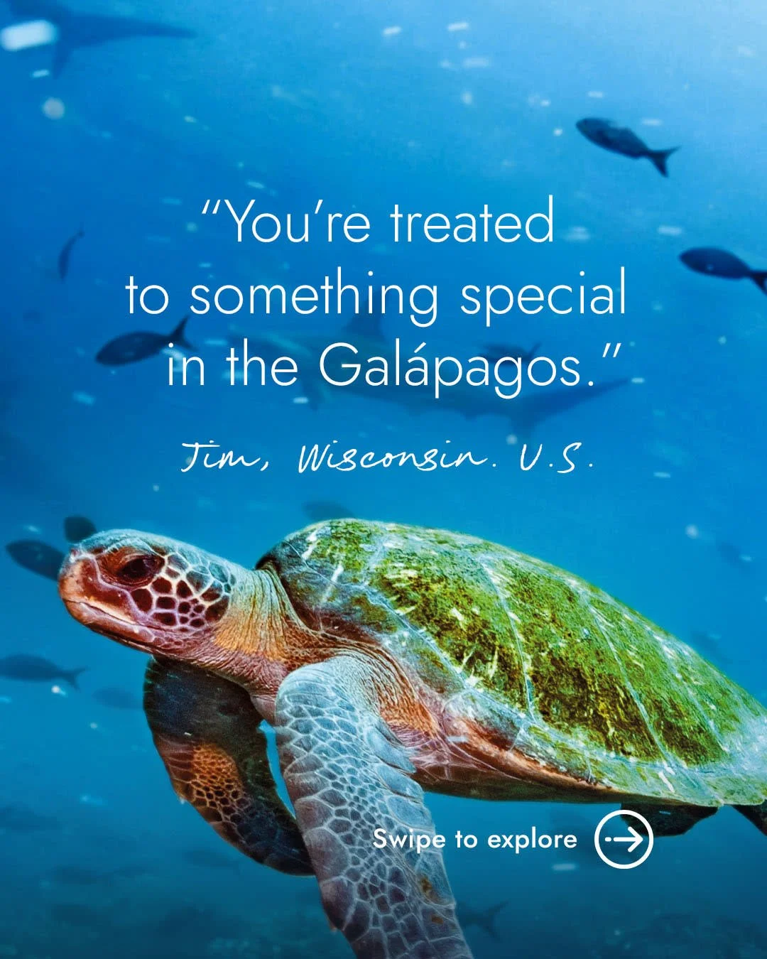 The Gal&aacute;pagos Islands &mdash; where nature puts on a show like nowhere else 🌺

Pristine beaches, volcanic landscapes, vibrant marine life, and wildlife encounters you'll never forget. Snorkel with colourful fish, hike breathtaking scenery, an