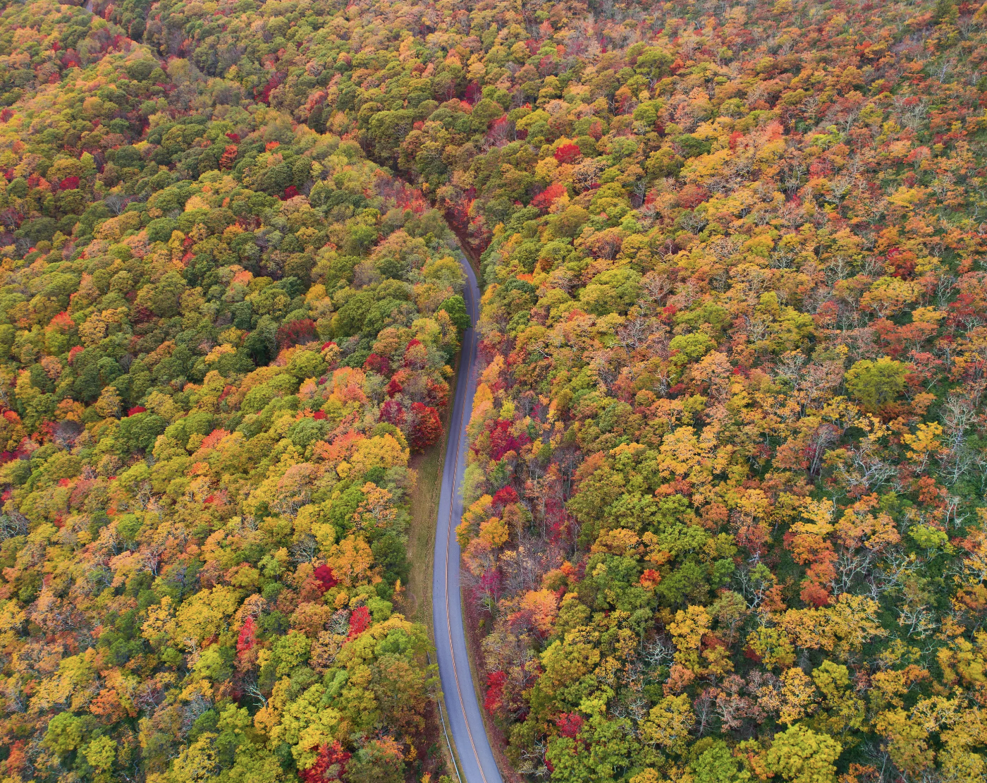 Planning a Road Trip?