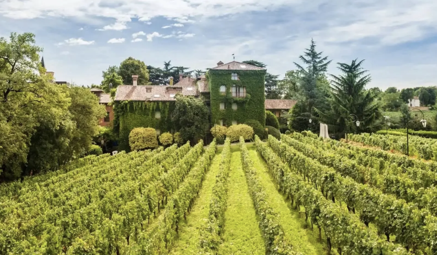 Italy’s Wine Regions