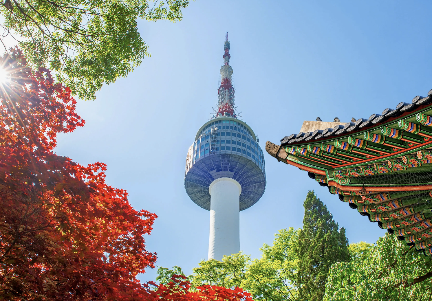 Insider’s Guide to Seoul