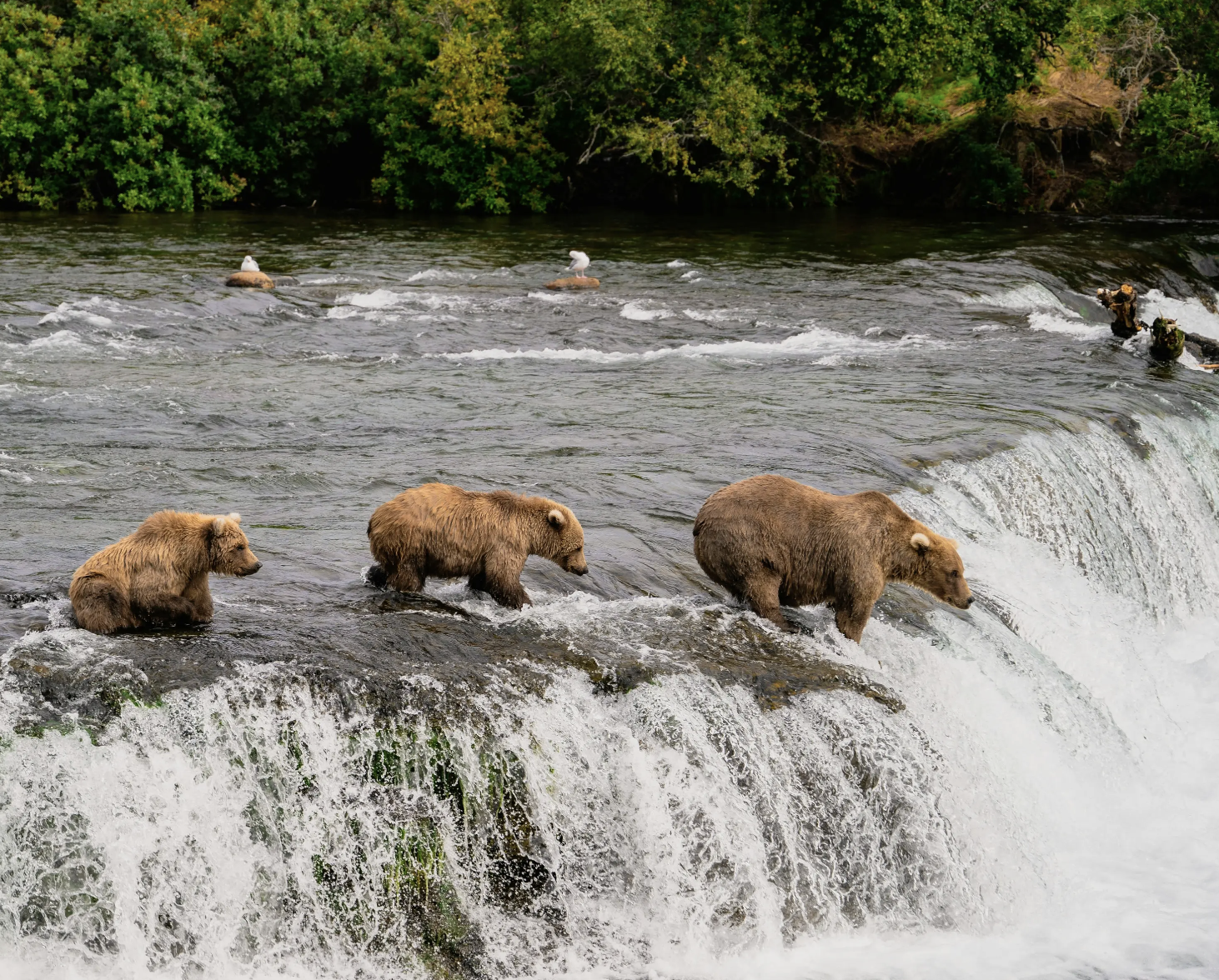 Alaska