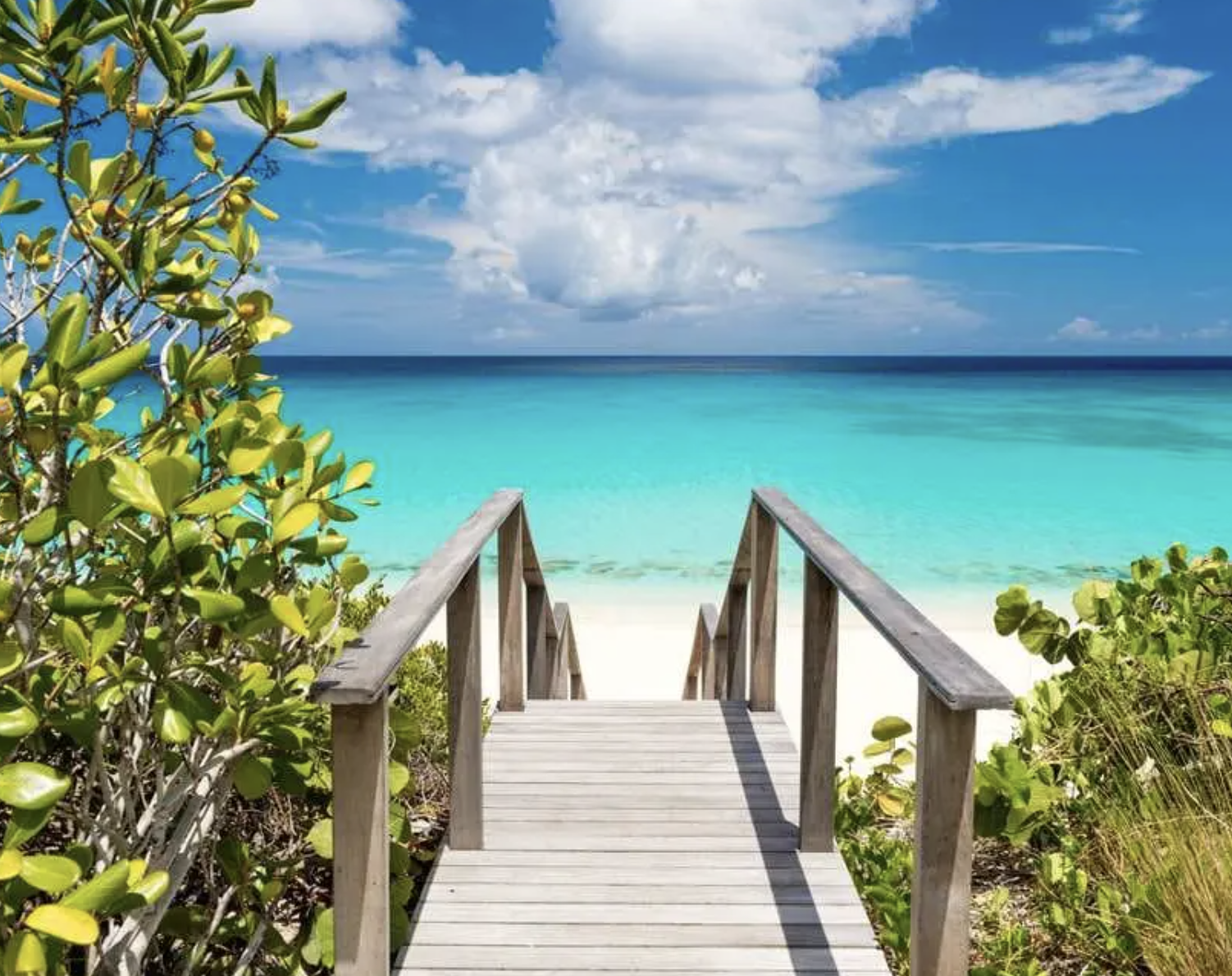 Turks + Caicos