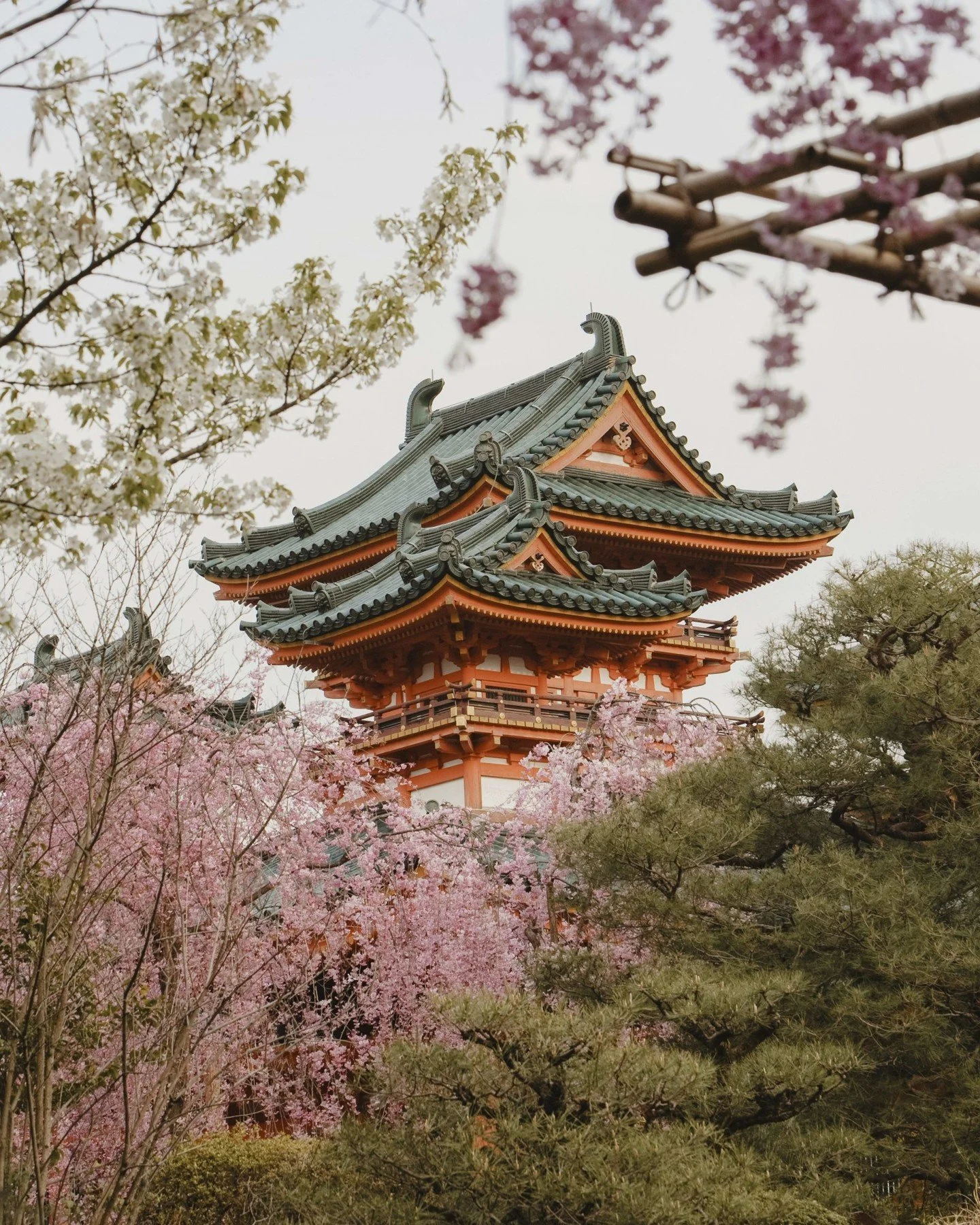 Book now with Explora Journeys and enjoy our Winter 2027 Journeys in Asia. Discover travel reimagined at sea.

Contact me to learn more.
#ExploraJourneys #OceanStateOfMind #SailUnique

#travel #traveladvisor #vacationplanning #foratravel #theartoftra