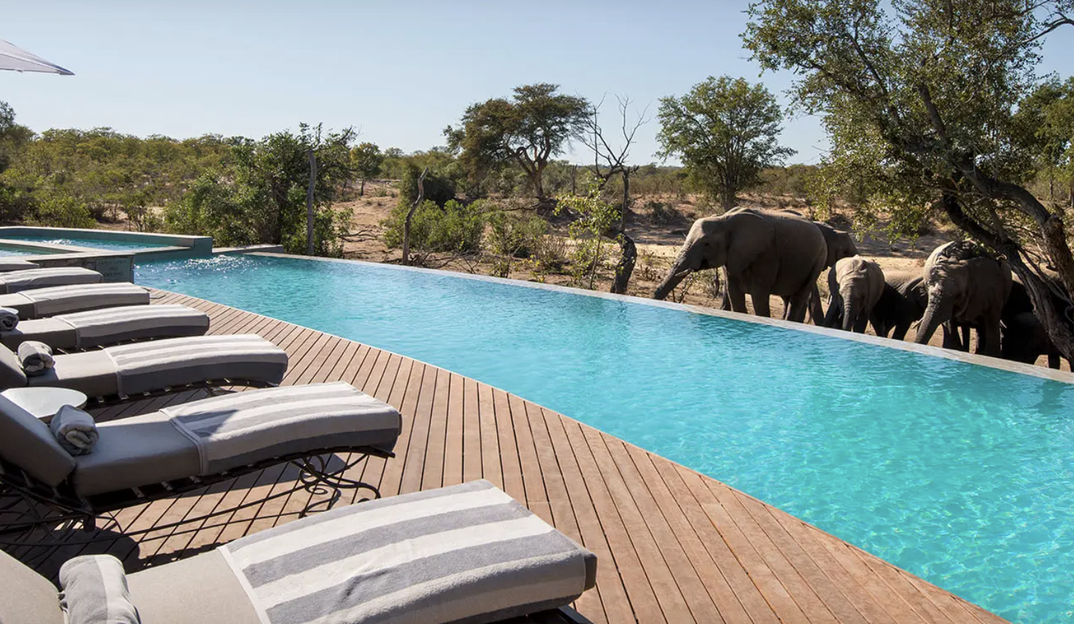 Insider’s Guide to South Africa