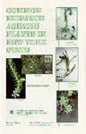 Common Nuisance Aquatic Plants in New York State 