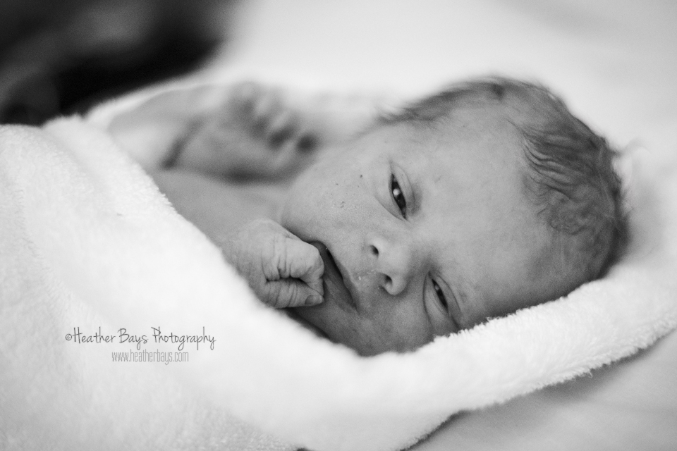 Born at 11:59pm on February 11th 2015 at the Toronto Birth Centre.