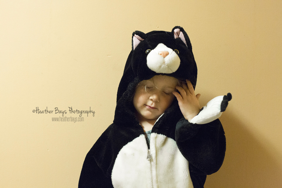 Meow!