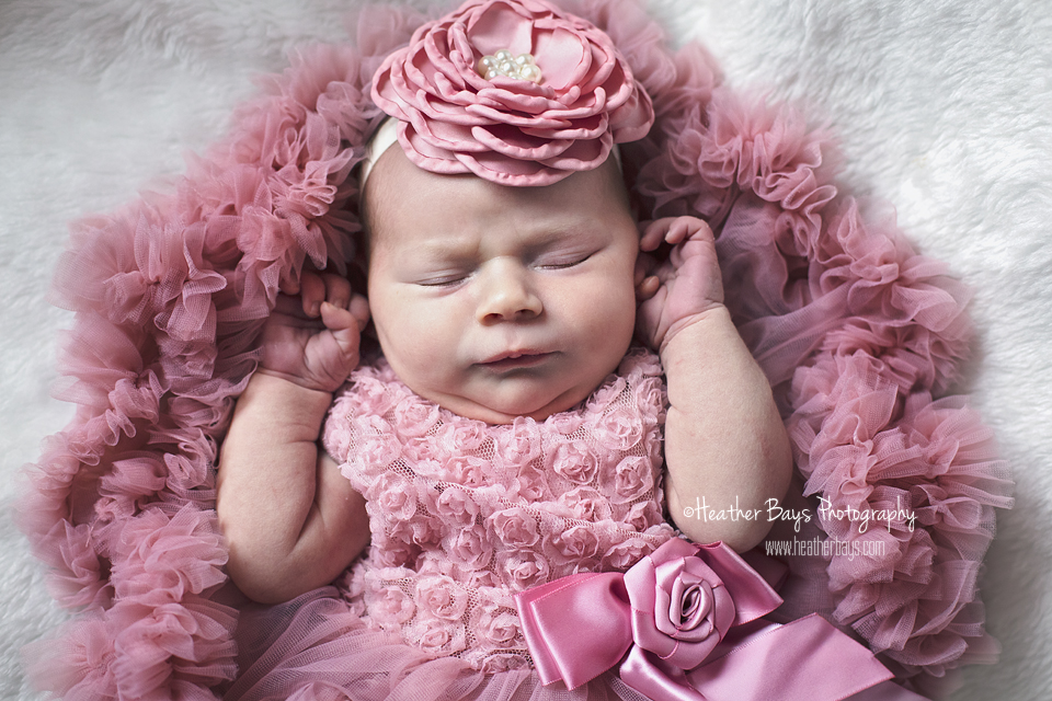 ADDISON To view this gallery click here: http://heatherbaysphotography.shootproof.com/gallery/2744410