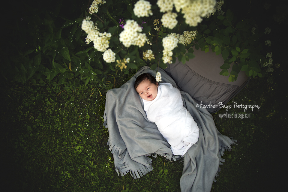 BABY FIONA To view this gallery click here: https://heatherbaysphotography.shootproof.com/gallery/2890397