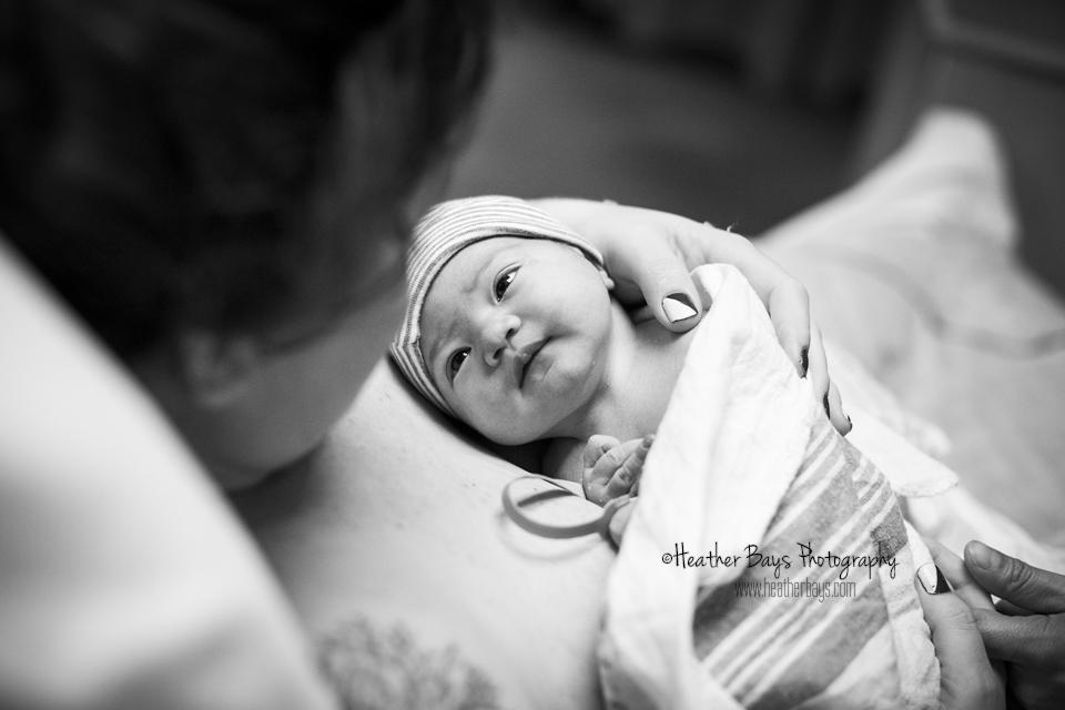 JUNIPER HAS ARRIVED To view this gallery click here: https://heatherbaysphotography.shootproof.com/gallery/3834616