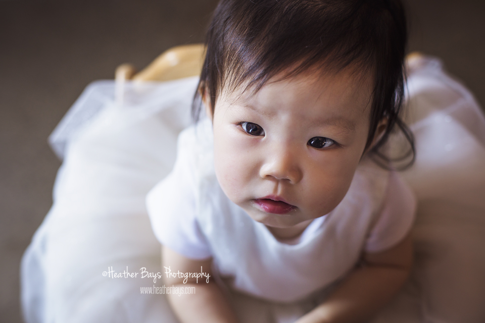 ARYA TURNS ONE! To view this gallery click here: https://heatherbaysphotography.shootproof.com/gallery/AryaTurnsOne