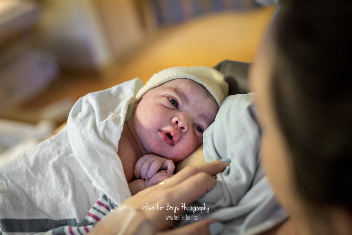 IT'S A...GIRL! To view this gallery click here: https://heatherbaysphotography.shootproof.com/gallery/4096321