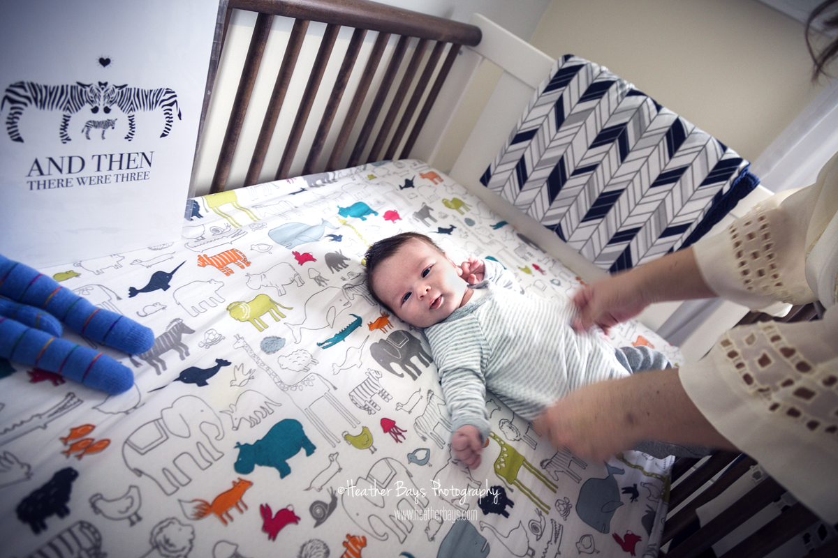 NATHAN To view this gallery click here: https://heatherbaysphotography.shootproof.com/gallery/4312510