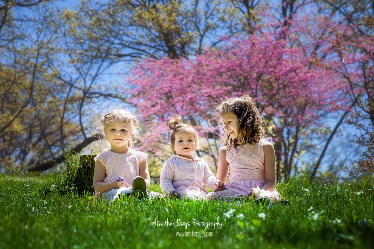 THE DUECKS To view this gallery click here: https://heatherbaysphotography.shootproof.com/gallery/4620031