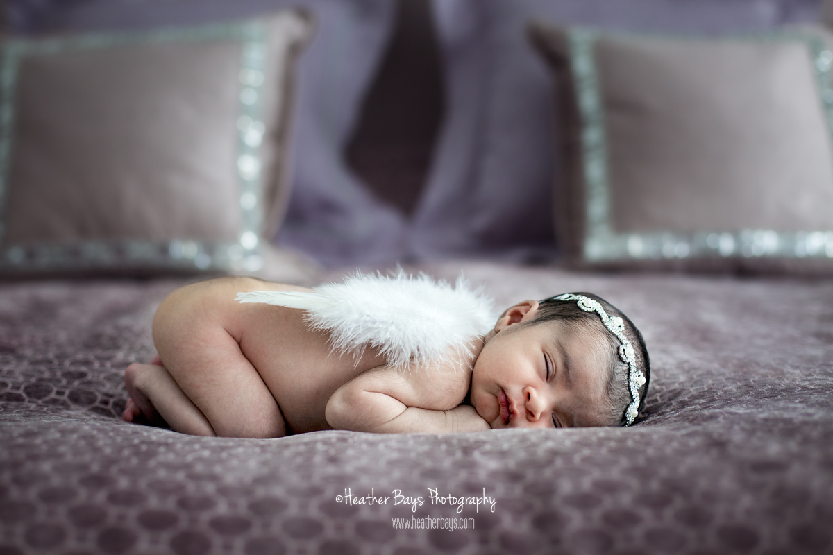 WELCOME HOME LITTLE LADY To view this gallery click here: https://heatherbaysphotography.shootproof.com/gallery/4752455