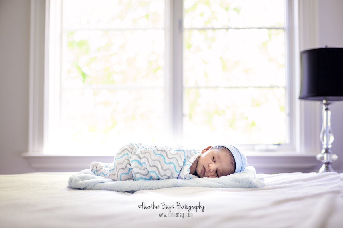 KADEN To view this gallery click here: https://heatherbaysphotography.shootproof.com/gallery/4857863