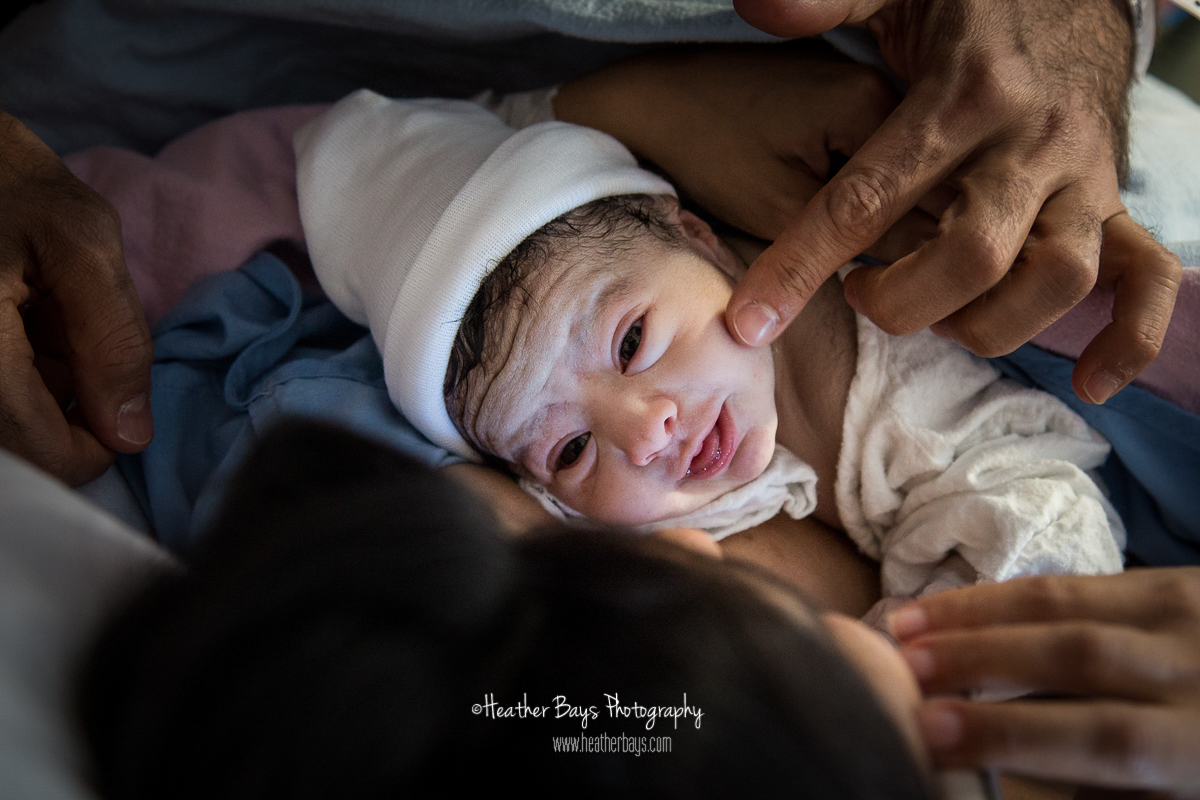HELLO AHMED To view this gallery click here: https://heatherbaysphotography.shootproof.com/gallery/5252825