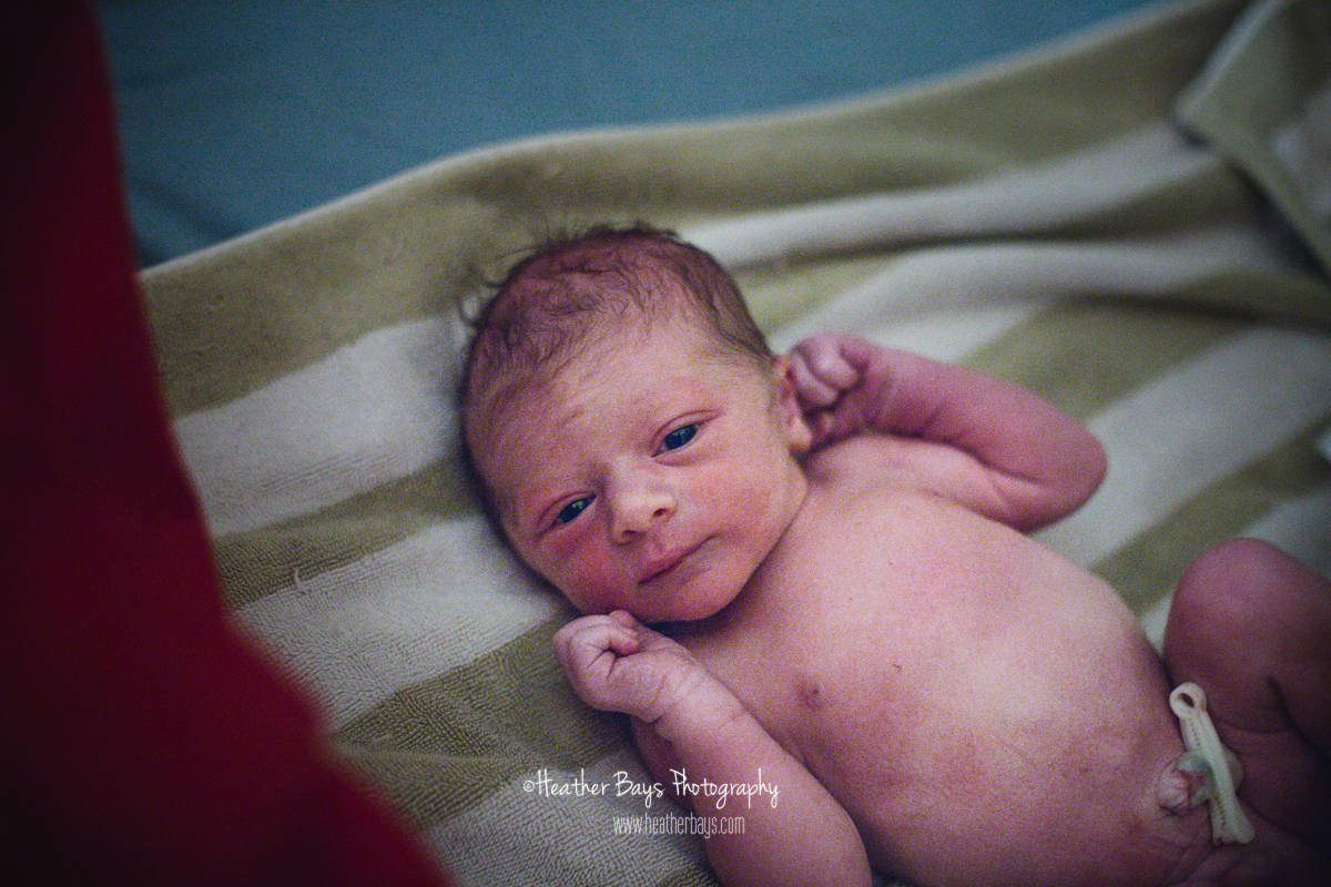 WELCOME HOME JASPER To view this gallery click here: https://heatherbaysphotography.shootproof.com/gallery/5835360