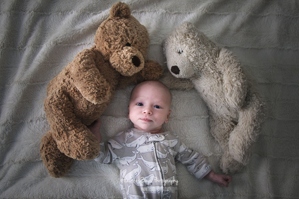 AVERY, 4 WEEKS OLD To view this gallery click here: https://heatherbaysphotography.shootproof.com/gallery/6023723