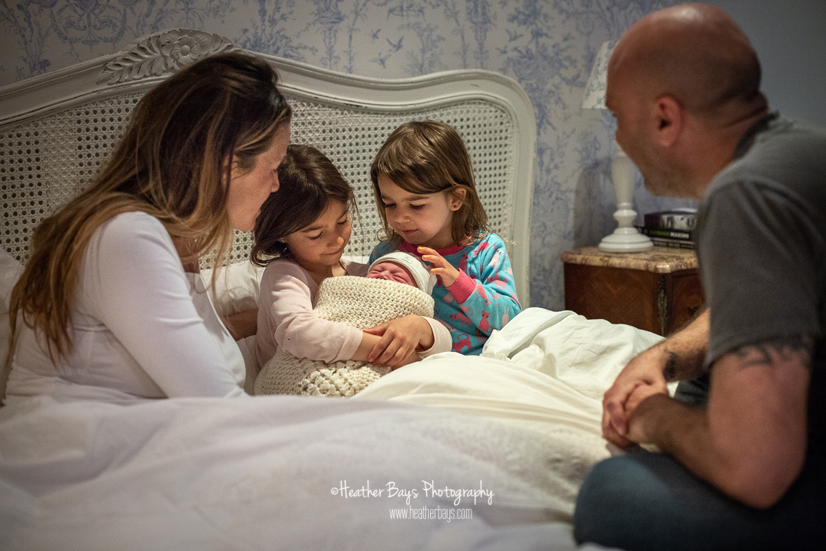 IT'S A BOY! To view this gallery click here: https://heatherbaysphotography.shootproof.com/gallery/6760388