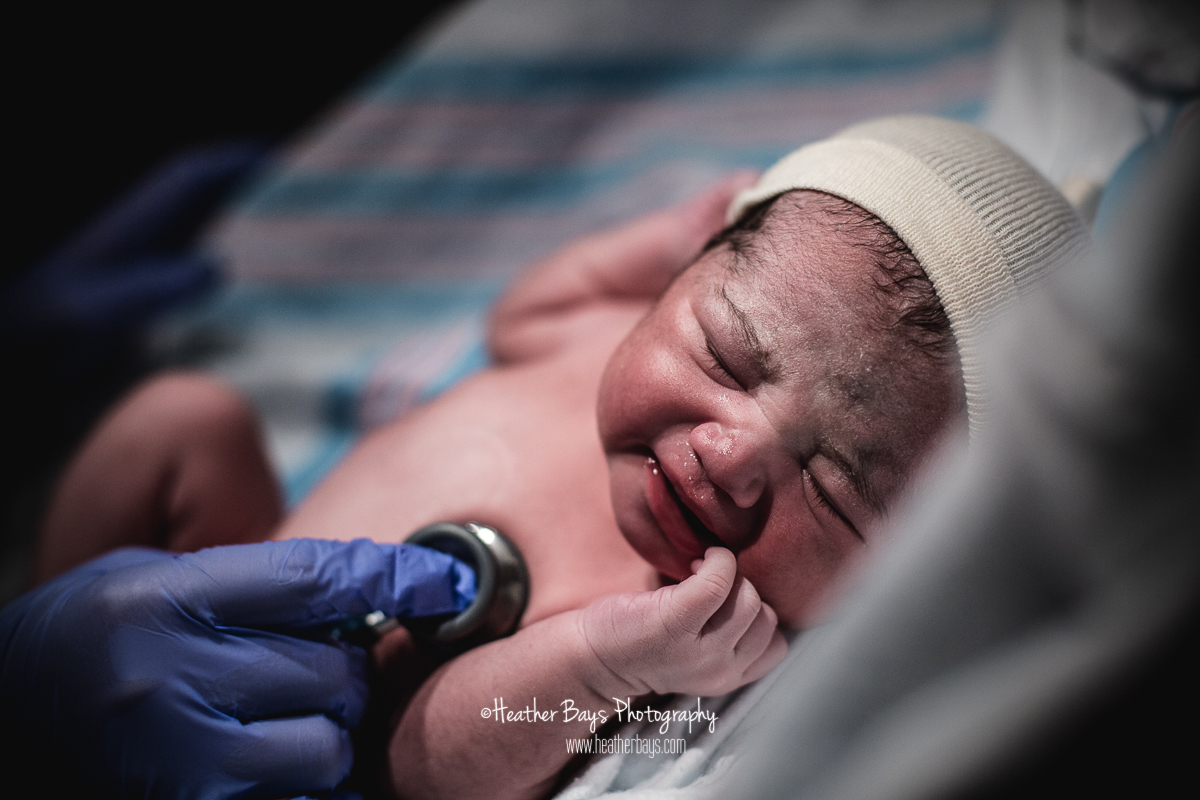HELLO LITTLE LADY To view this gallery click here: https://heatherbaysphotography.shootproof.com/gallery/6795831