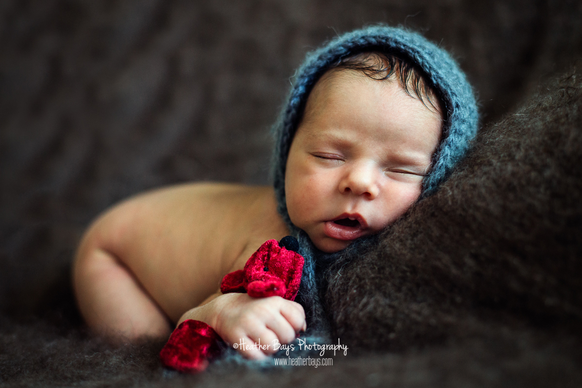 WELCOMING ELIZE To View this gallery click here: https://heatherbaysphotography.shootproof.com/gallery/7547750