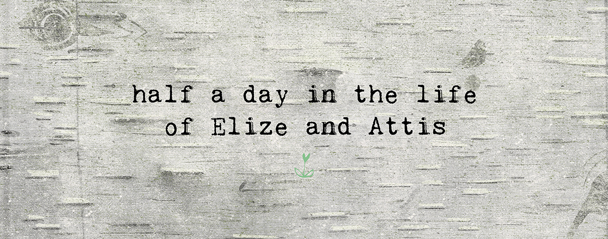 half day in the life with Elize and Attis.jpg