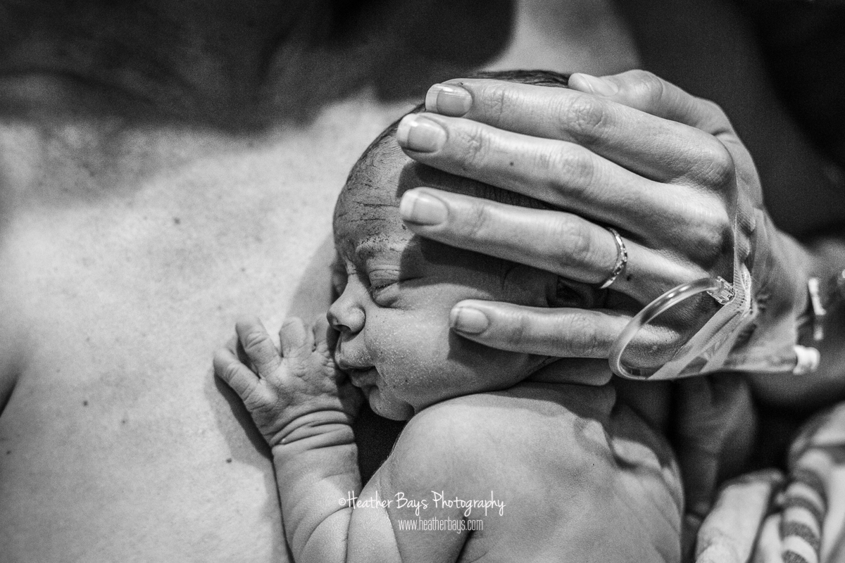 08052018HB113bw-websafe.jpg