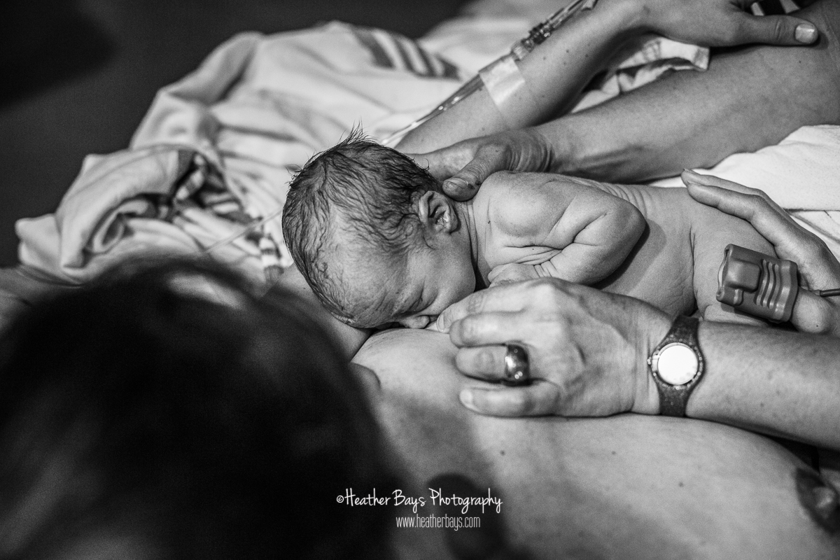08052018HB110bw-websafe.jpg