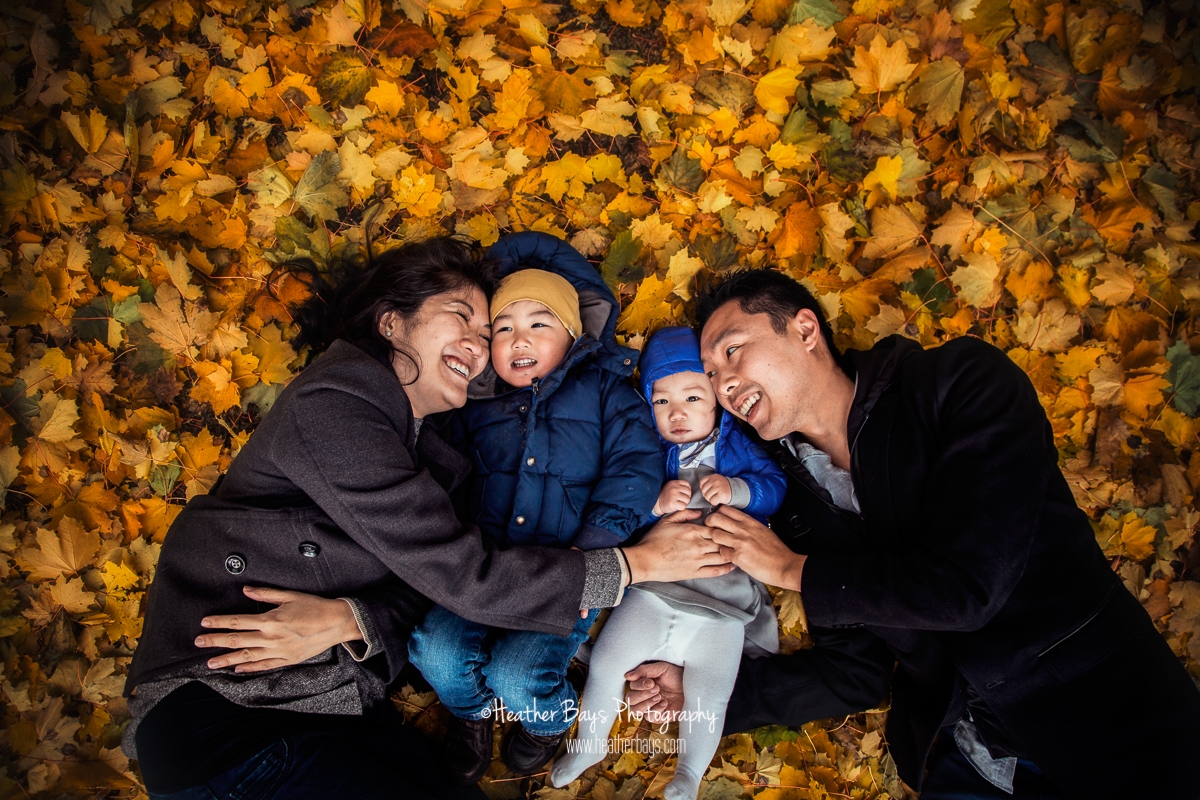 11032018HB005-websafe.jpg