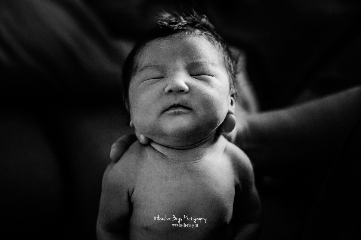 01122019HB029-websafe.jpg