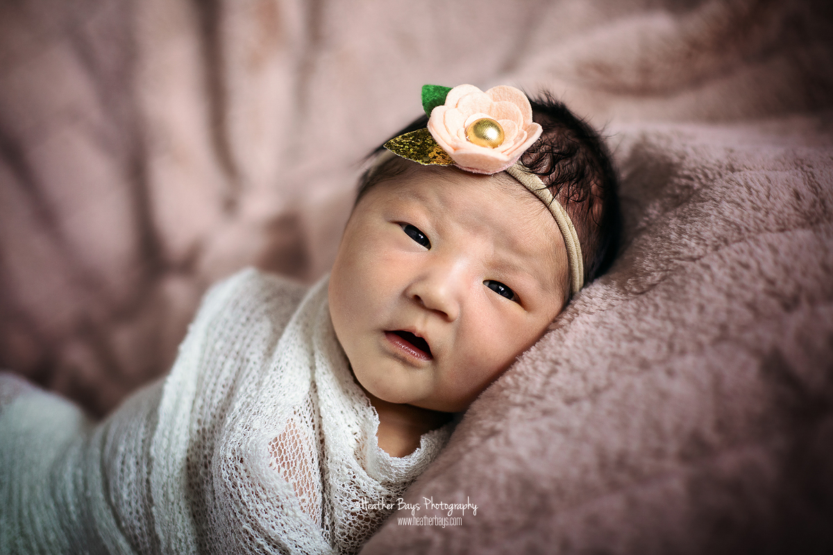 01122019HB033-websafe.jpg