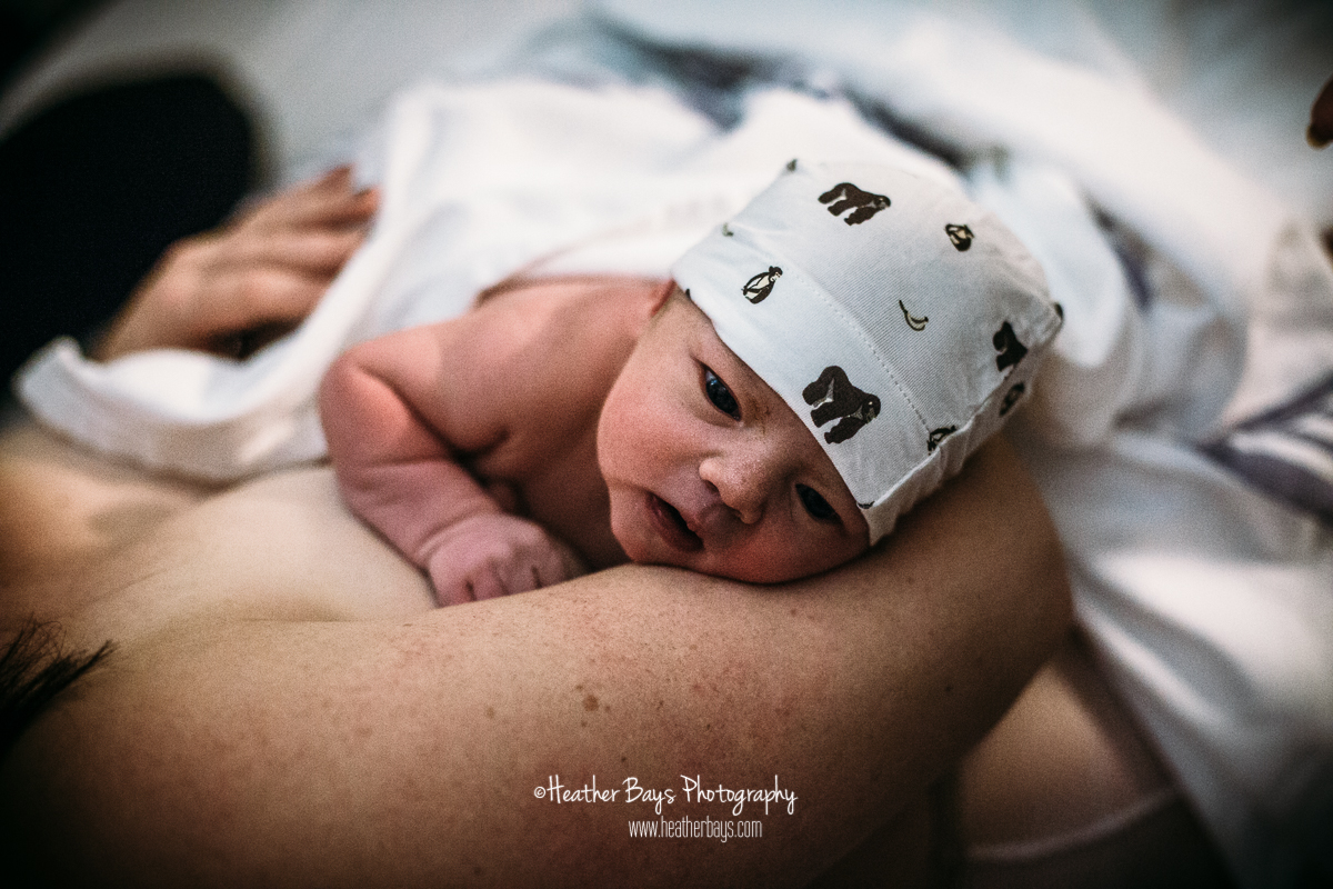 10282018HB138-websafe.jpg