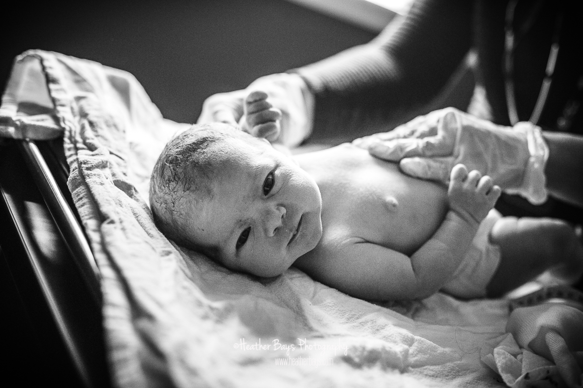 10282018HB131bw-websafe.jpg