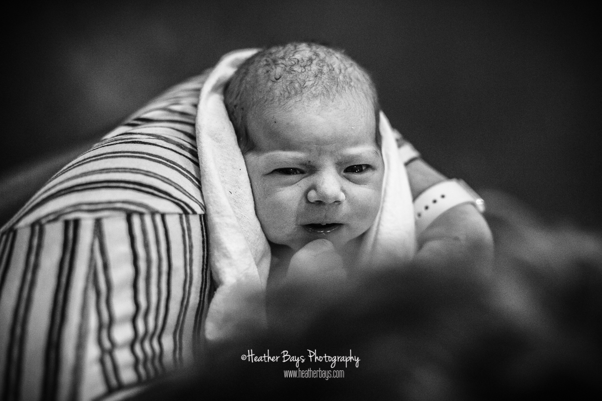 10282018HB185bw-websafe.jpg