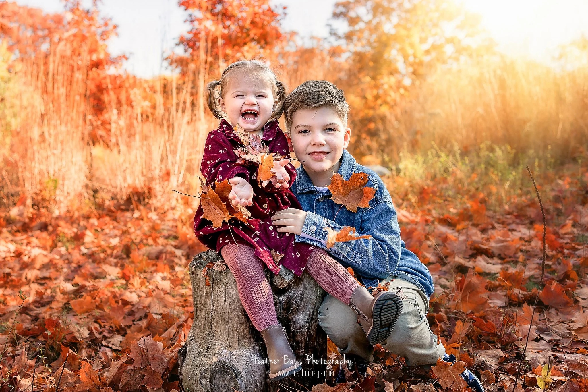Best Time To Book Your Autumn Mini Session