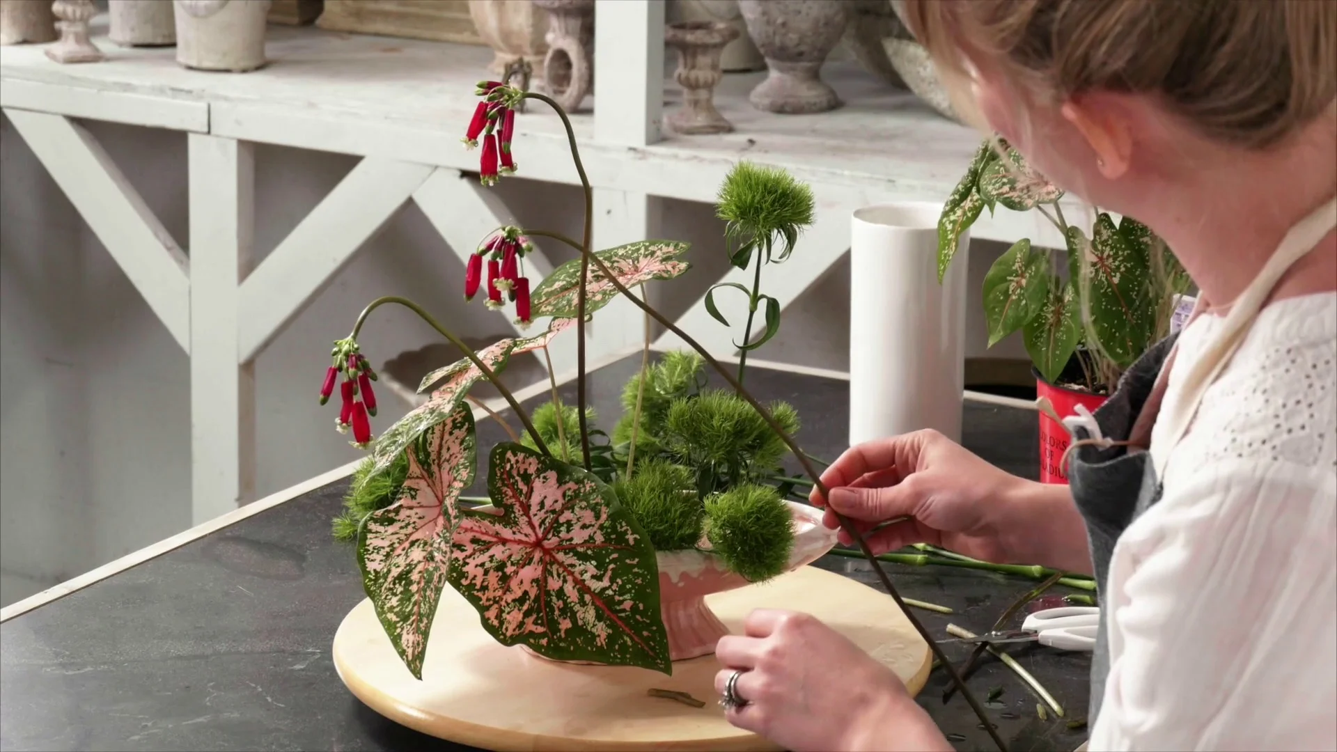 Opposites Arrangement