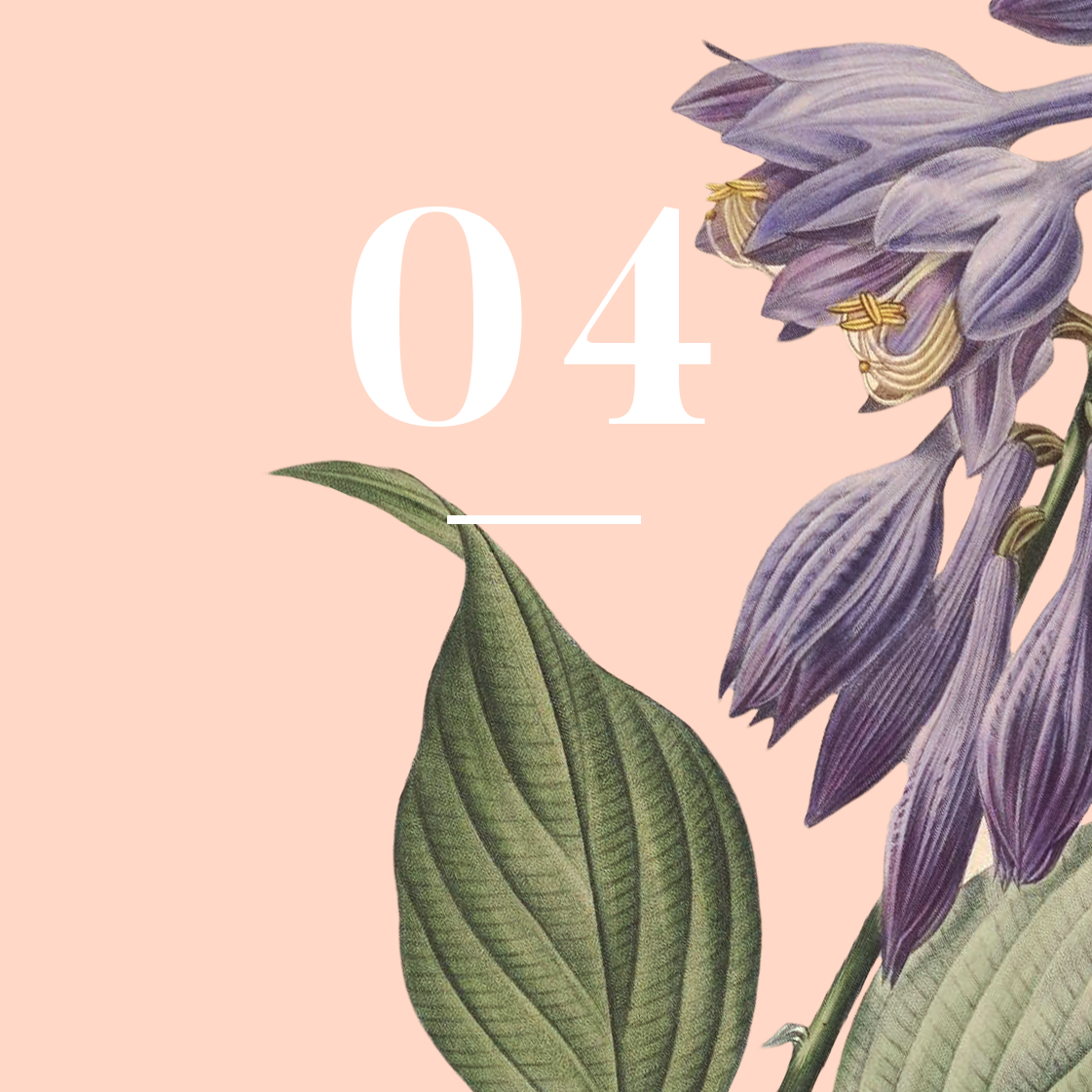 Mothers & Grandmothers