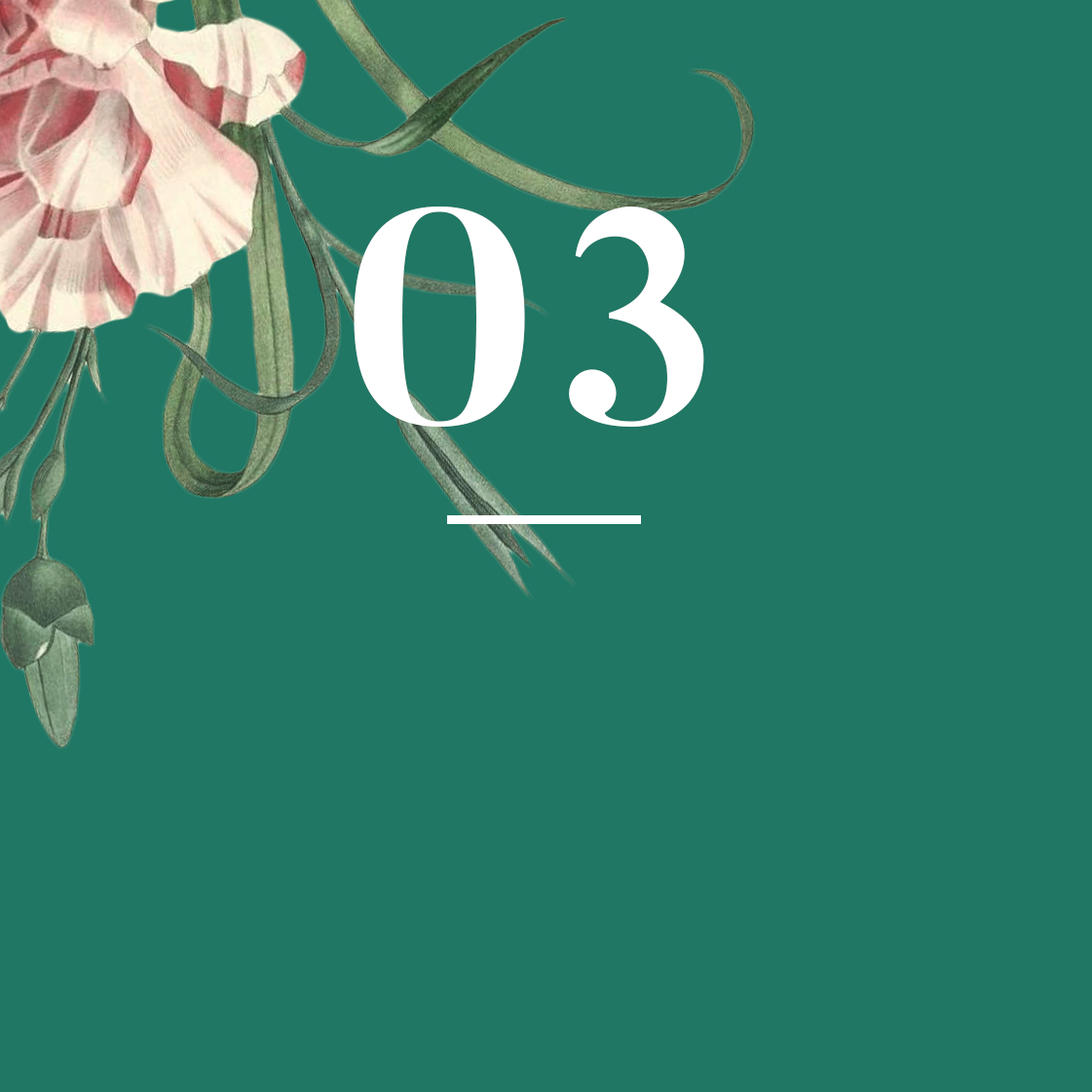 Picking Flowers to Grow